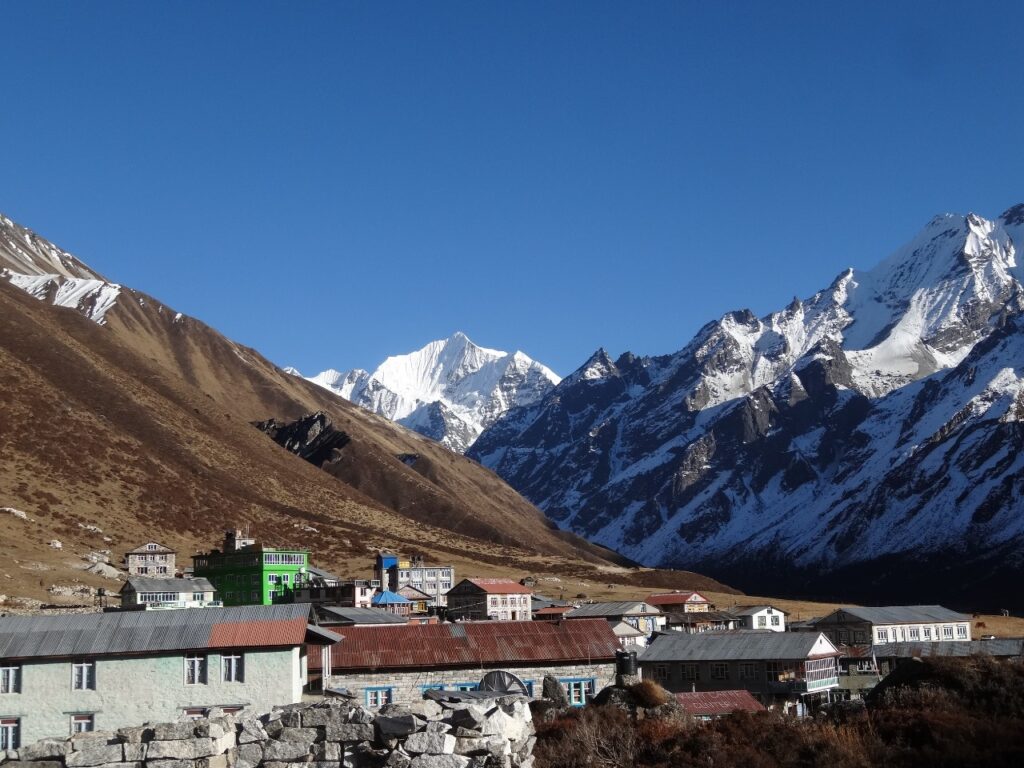 ©2025 All rights reserved to WWN Nepal