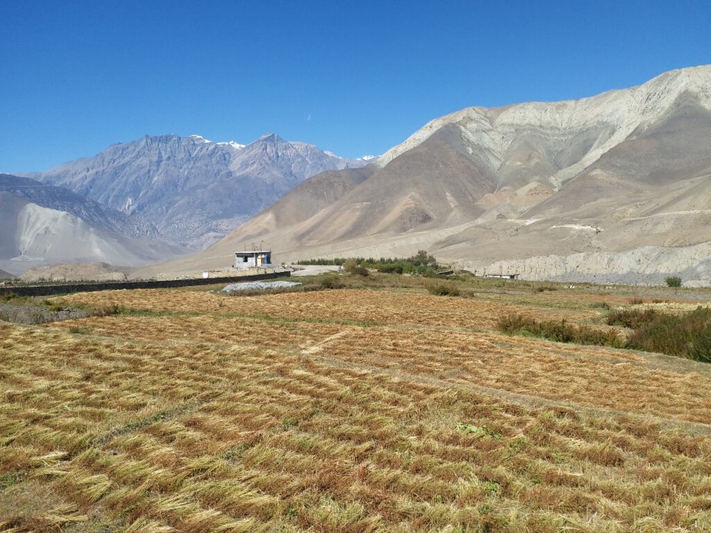 ©2025 All rights reserved to WWN Nepal